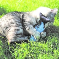 Aumüller Zappelfische Mit Katzenminze 25 Aumüller Zappelfische Mit Katzenminze -KERBL Verkaufsgeschäft aumueller zappelfische mit katzenminze 1626259735