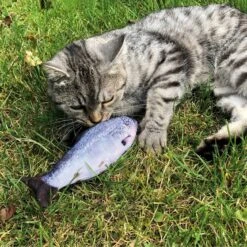 Aumüller Zappelfische Mit Katzenminze 24 Aumüller Zappelfische Mit Katzenminze -KERBL Verkaufsgeschäft aumueller zappelfische mit katzenminze 1626259928