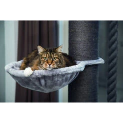 Beeztees Kratzbaum Havilo Mit Dickem Stamm -KERBL Verkaufsgeschäft beeztees kratzbaum havilo mit dickem stamm 1522581311