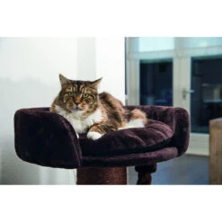 Beeztees Kratzbaum Tura Dicker Stamm -KERBL Verkaufsgeschäft beeztees kratzbaum tura dicker stamm 1522580887