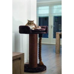 Beeztees Kratzbaum Tura Dicker Stamm -KERBL Verkaufsgeschäft beeztees kratzbaum tura dicker stamm 1522580904