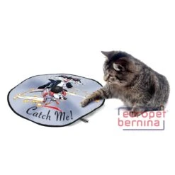 D&D Adventure Undercover Mouse