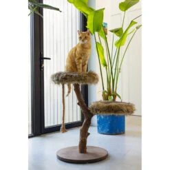 Designed By Lotte Holz Kratzbaum Aviva -KERBL Verkaufsgeschäft designed by lotte holz kratzbaum aviva 1650526700