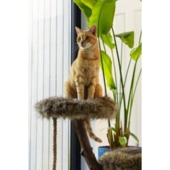 Designed By Lotte Holz Kratzbaum Aviva -KERBL Verkaufsgeschäft designed by lotte holz kratzbaum aviva 1650526702