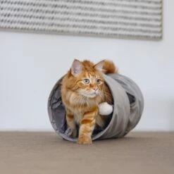 Designed By Lotte Samtig Weicher Katzentunnel Cylla -KERBL Verkaufsgeschäft designed by lotte samtig weicher katzentunnel cylla 1682581305