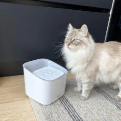 EBI Haustier Trinkbrunnen Manoa 3L Mit Bewegungsmelder -KERBL Verkaufsgeschäft ebi haustier trinkbrunnen manoa 3l mit bewegungsmelder 1688041874