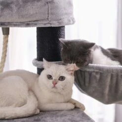 FEANDREA Kratzbaum Groß -KERBL Verkaufsgeschäft feandrea kratzbaum gross 1553114083