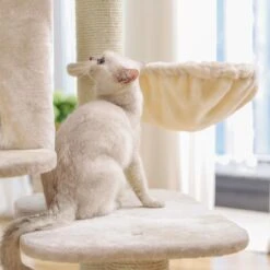 FEANDREA Kratzbaum Mit XXL Aussichtsplattform -KERBL Verkaufsgeschäft feandrea kratzbaum mit xxl aussichtsplattform 1553108657