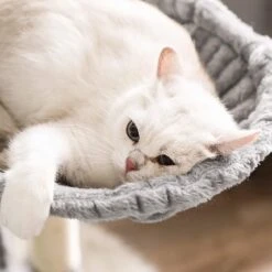 FEANDREA Kratzbaum XXL Cat Condo 24 FEANDREA Kratzbaum XXL Cat Condo -KERBL Verkaufsgeschäft feandrea kratzbaum xxl cat condo 1597919476