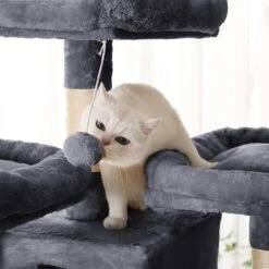 FEANDREA Kratzbaum XXL Cat Condo 29 FEANDREA Kratzbaum XXL Cat Condo -KERBL Verkaufsgeschäft feandrea kratzbaum xxl cat condo 1597919513