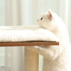 FEANDREA Retro Color Kratzbaum -KERBL Verkaufsgeschäft feandrea retro color kratzbaum 1564575763