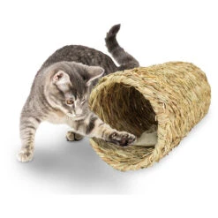 JR Farm Bavarian Catnip Katzenminze-Tunnel