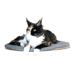 Kerbl Katzen Wandliegebrett Tofana Oval