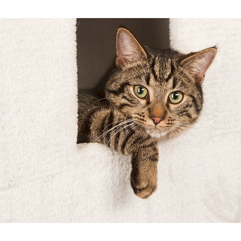 Kerbl Katzen Kratztonne Galina 5 Kerbl Katzen Kratztonne Galina – Bild 5