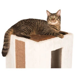 Kerbl Katzen Kratztonne Galina 8 Kerbl Katzen Kratztonne Galina -KERBL Verkaufsgeschäft katzen kratztonne galina von kerbl 1537276447