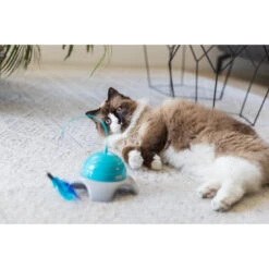 TRIXIE Katzenspielzeug Catch Me Mit Motor Und Fernbedienung 11 TRIXIE Katzenspielzeug Catch Me Mit Motor Und Fernbedienung -KERBL Verkaufsgeschäft katzenspielzeug catch me mit motor und fernbedienung 1678286517