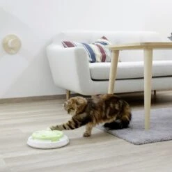 Kerbl Katzenspielzeug Pompom -KERBL Verkaufsgeschäft kerbl katzenspielzeug pompom 1625649655