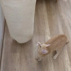 Kerbl Klettersack Climber Mini -KERBL Verkaufsgeschäft kerbl klettersack climber mini 1659442720