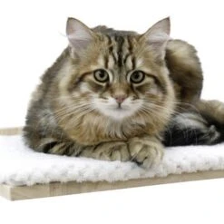 Kerbl Kletterwand Alps Für Katzen -KERBL Verkaufsgeschäft kerbl kletterwand alps fuer katzen 1625476881