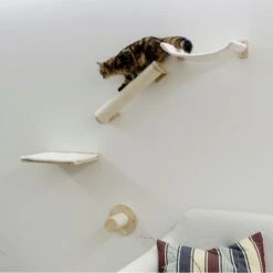 Kerbl Kletterwand Alps Für Katzen -KERBL Verkaufsgeschäft kerbl kletterwand alps fuer katzen 1625476882