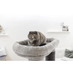 Kerbl Kratzbaum Benji -KERBL Verkaufsgeschäft kerbl kratzbaum benji 1662540684