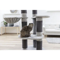 Kerbl Kratzbaum Benji -KERBL Verkaufsgeschäft kerbl kratzbaum benji 1662540698