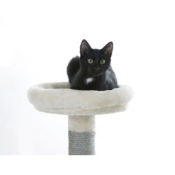 Kerbl Kratzbaum Creativ Adventure 7 Kerbl Kratzbaum Creativ Adventure -KERBL Verkaufsgeschäft kerbl kratzbaum creativ adventure 1526477382