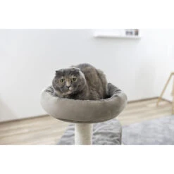 Kerbl Kratzbaum Giselle Taupe -KERBL Verkaufsgeschäft kerbl kratzbaum giselle taupe 1677617037