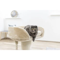 Kerbl Kratzbaum Toni XL -KERBL Verkaufsgeschäft kerbl kratzbaum toni xl 1677616862