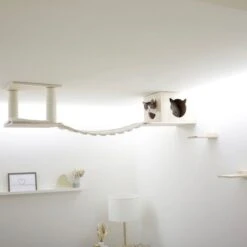 Kerbl Decken Spielplatz Für Katzen Top -KERBL Verkaufsgeschäft kerbl spielplatz fuer katzen top 1625481462