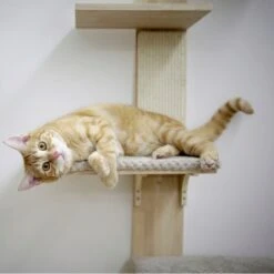 Kerbl Timber Kratzbaum Für Die Wand -KERBL Verkaufsgeschäft kerbl timber kratzbaum fuer die wand 1625480361