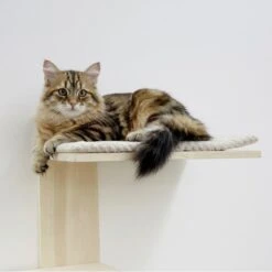 Kerbl Timber Kratzbaum Für Die Wand -KERBL Verkaufsgeschäft kerbl timber kratzbaum fuer die wand 1625480368