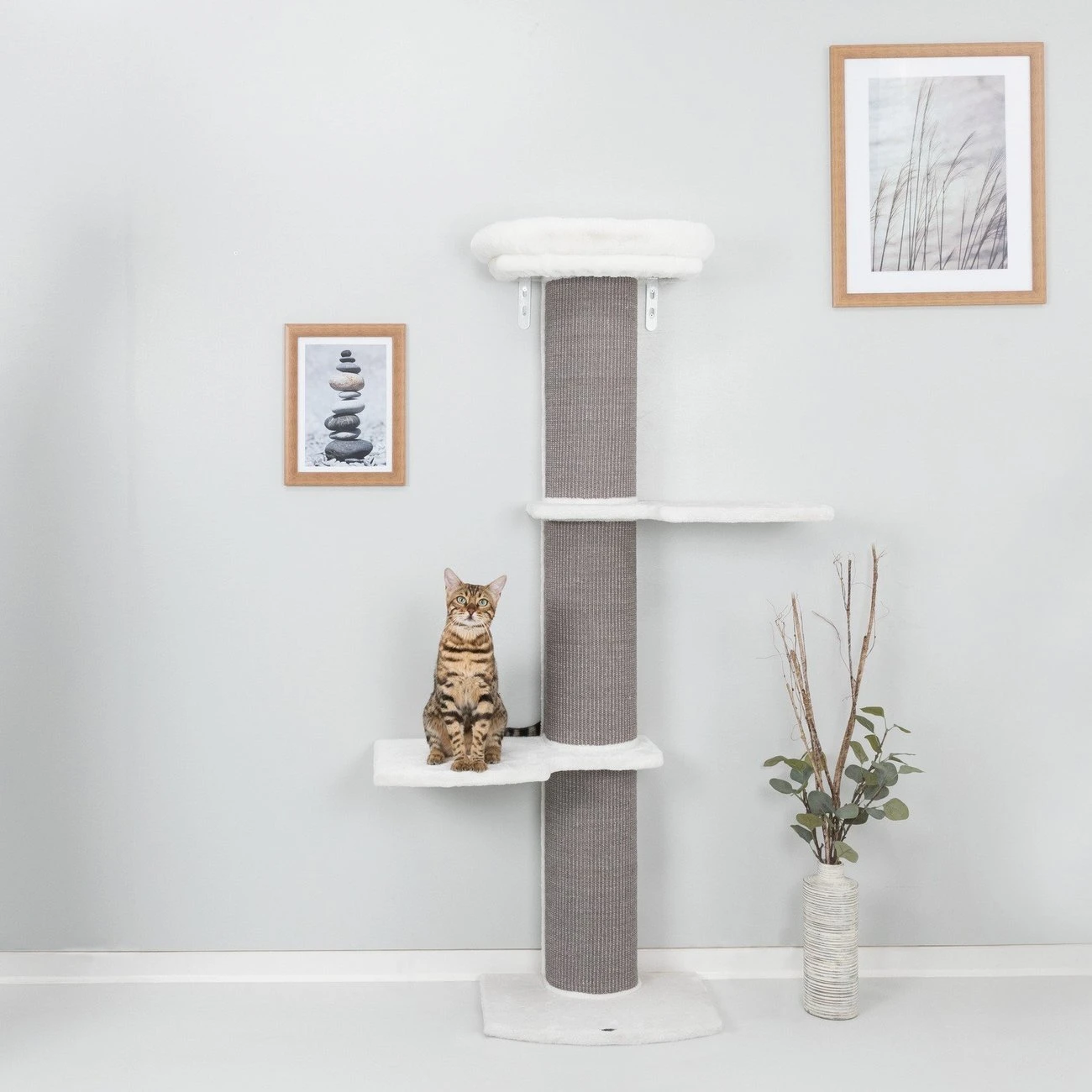 TRIXIE Kratzbaum Acadia Zur Wandmontage 2 TRIXIE Kratzbaum Acadia Zur Wandmontage – Bild 2