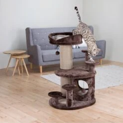 TRIXIE Kratzbaum Für Senioren Emil -KERBL Verkaufsgeschäft kratzbaum fuer senioren emil 1607598074