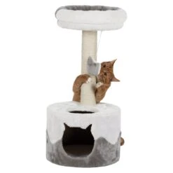 TRIXIE Kratzbaum Nuria -KERBL Verkaufsgeschäft kratzbaum nuria 1504170222