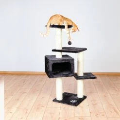 TRIXIE Kratzbaum Palamos -KERBL Verkaufsgeschäft kratzbaum palamos 1609244266