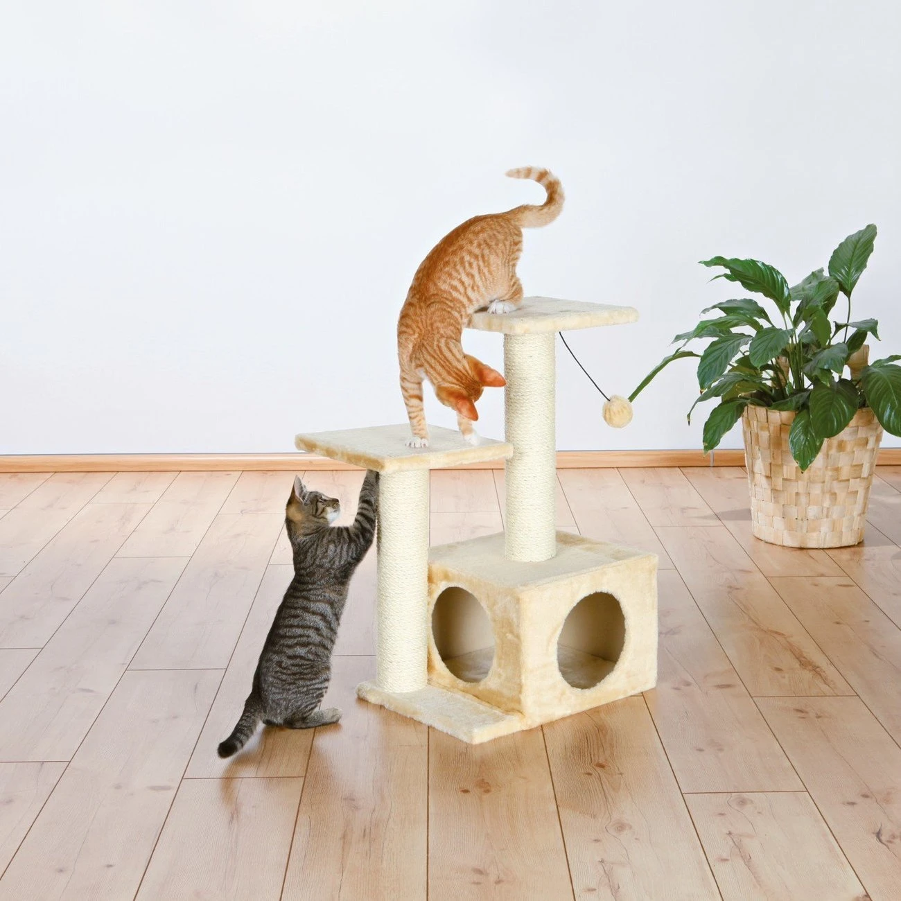 TRIXIE Kratzbaum Valencia 6 TRIXIE Kratzbaum Valencia – Bild 6