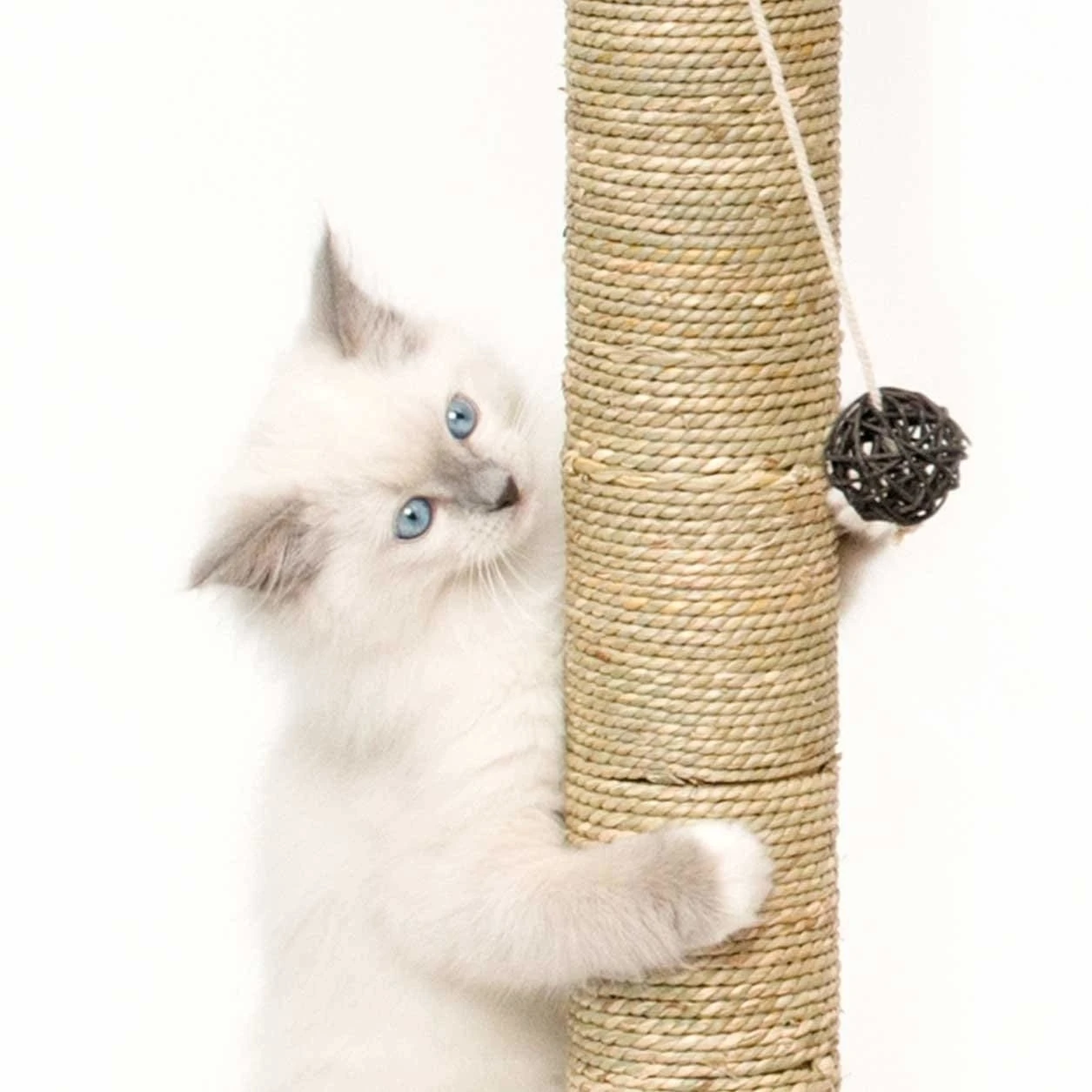 Vesper Kratzbaum V-Double 5 Vesper Kratzbaum V-Double – Bild 5