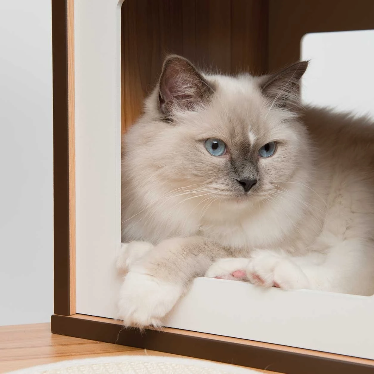 Vesper Kratzbaum V-Double 8 Vesper Kratzbaum V-Double – Bild 8