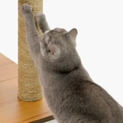 Vesper Kratzbaum V-High Base -KERBL Verkaufsgeschäft kratzbaum vesper v high base 1540403575