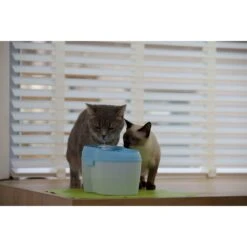 Cat H2O Katzentrinkbrunnen Mit Zahnpflege -KERBL Verkaufsgeschäft mycath2o katzenbrunnen trinkbrunnen 1520529179