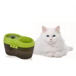 Cat H2O Katzentrinkbrunnen Mit Zahnpflege -KERBL Verkaufsgeschäft mycath2o katzenbrunnen trinkbrunnen 1561386540