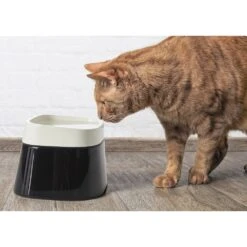 Titelseite -KERBL Verkaufsgeschäft nobby erhoehter trinknapf 1601973507