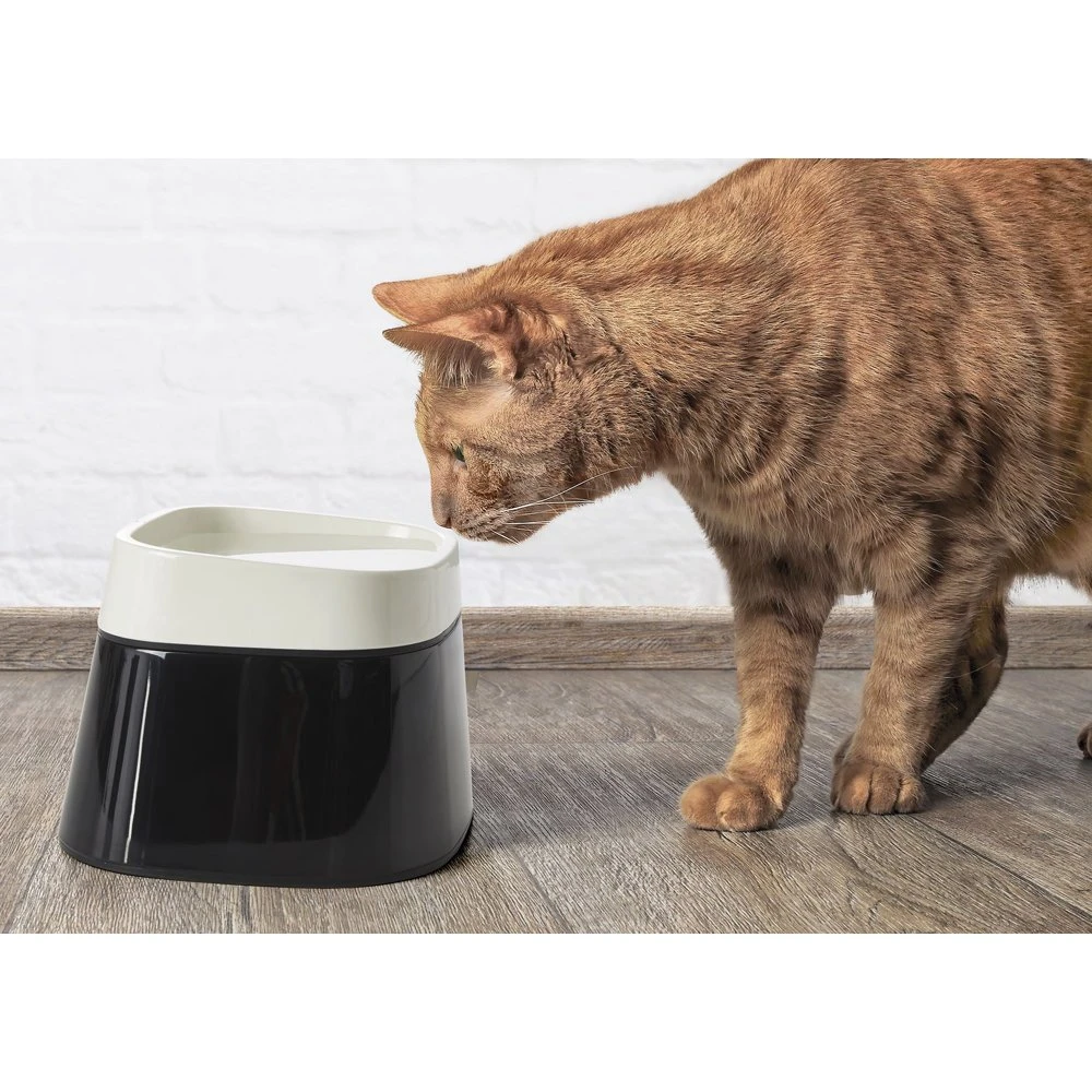 Nobby Erhöhter Trinknapf Für Katzen 2 Nobby Erhöhter Trinknapf Für Katzen – Bild 2