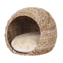 Nobby Katzenhöhle Lasa