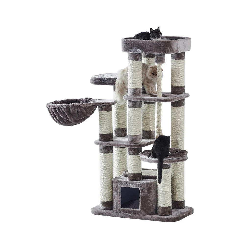 Nobby Kratzbaum Fredo 5 Nobby Kratzbaum Fredo – Bild 5