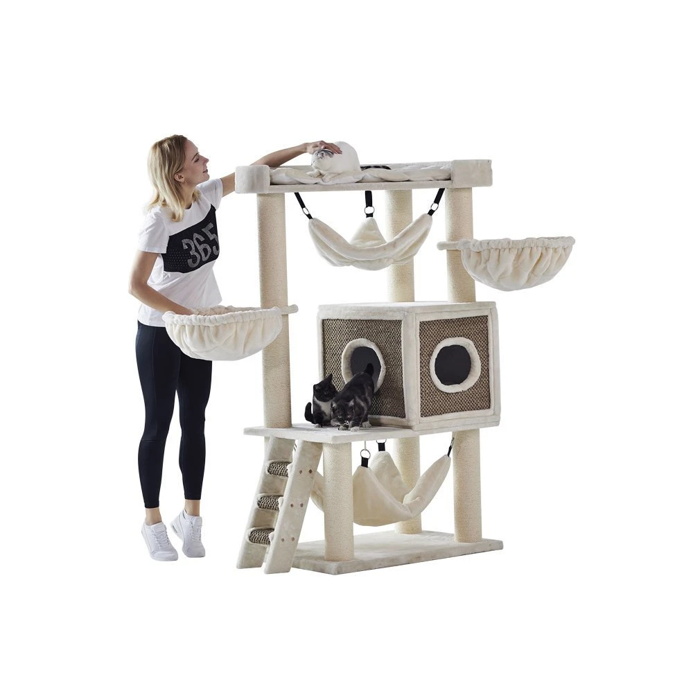 Nobby Kratzbaum Juan 2 Nobby Kratzbaum Juan – Bild 2