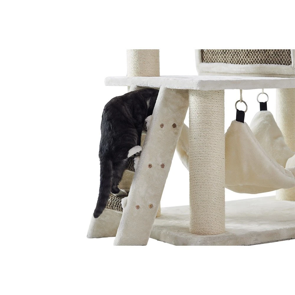 Nobby Kratzbaum Juan 3 Nobby Kratzbaum Juan – Bild 3