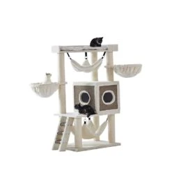 Nobby Kratzbaum Juan