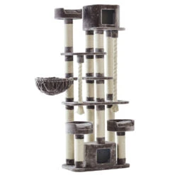 Nobby Kratzbaum KYLA